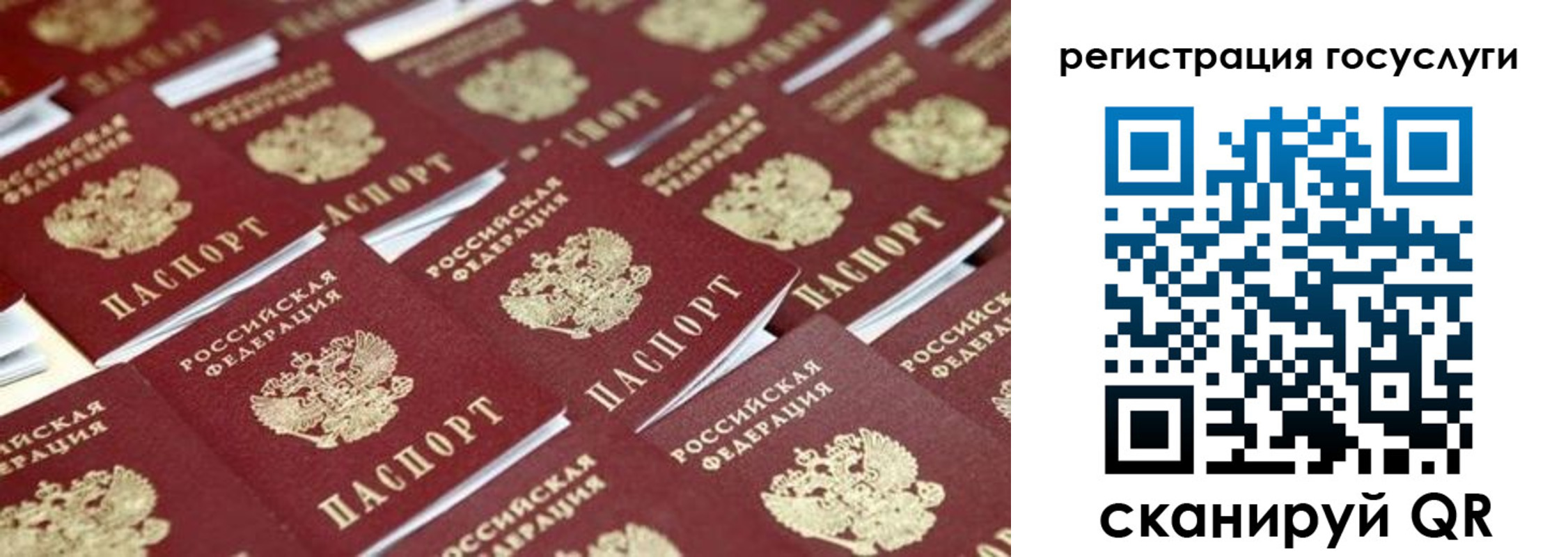 прописка ребенка в Лосино-Петровском