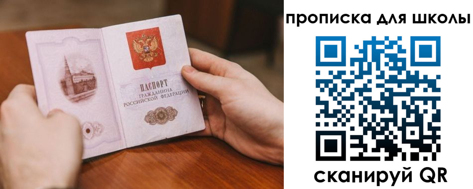 прописка в Лосино-Петровском